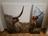 Leinwand Bilder Bulle Stier Deko Wandbild Dresden - Gorbitz-Nord/Neu-Omsewitz Vorschau