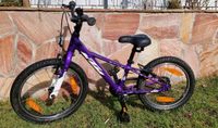 Kinderfahrrad 16/18 Zoll Sachsen - Ottendorf-Okrilla Vorschau