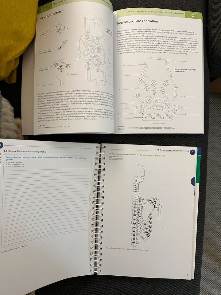 Arbeitsbuch Muskeln/Lehrbuch Gehirn in Deggendorf