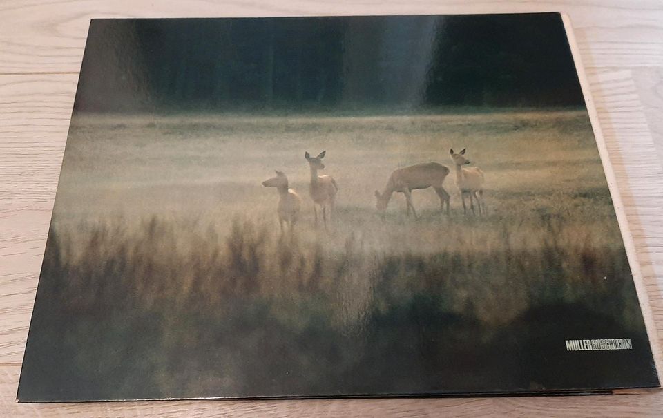 Belauschte Tierwelt von F.F.Hazelhoff in Kleinich