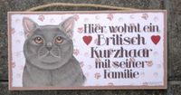 Katzenschild Brandenburg - Kyritz Vorschau