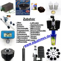 NEU versch. Minifilter Aquarium Filter ab 2,99 €* Luftheber Bayern - Velburg Vorschau