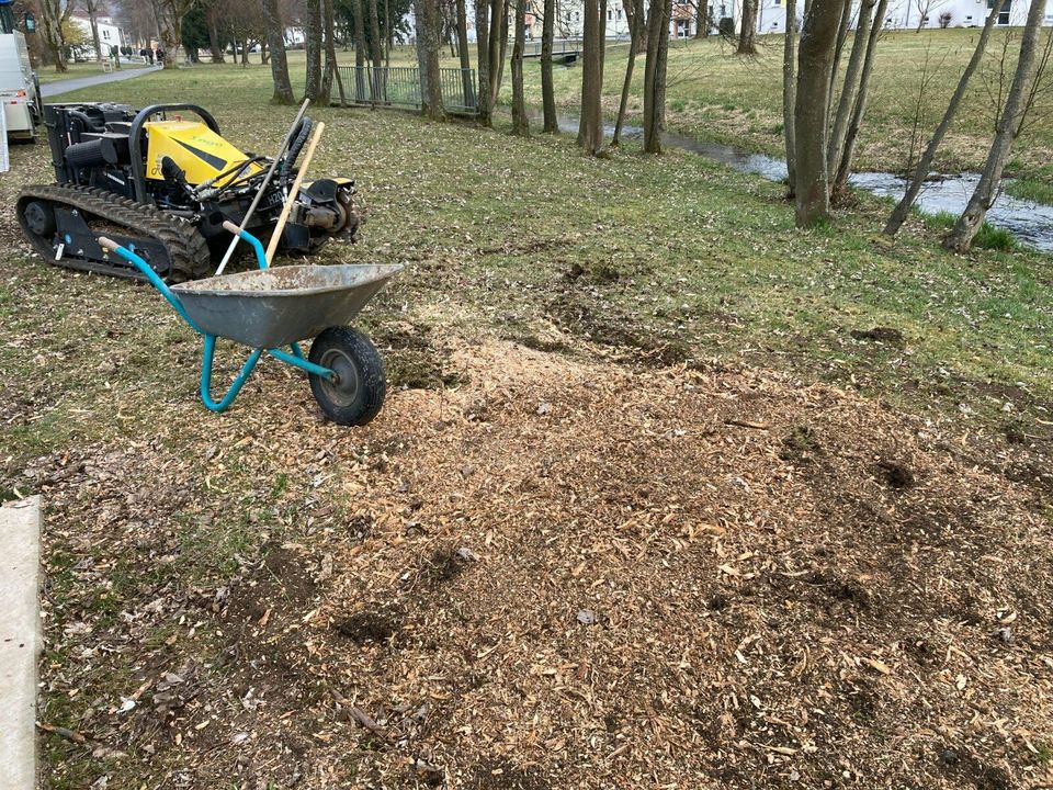 Wurzelfräsen, Baumstumpf entfernen, Stubbenfräsen in Oberkochen