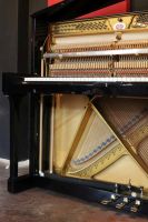 Schimmel Klavier / Piano 118T inkl. Garantie und Lieferung Berlin - Hellersdorf Vorschau