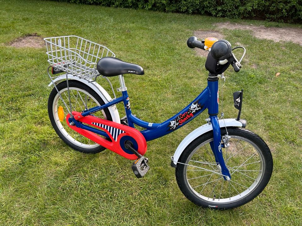 PUKY 18 Zoll Kinderfahrrad Capt‘n Sharky in Thedinghausen