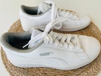 Puma Sneakers weiß Gr. 38 Baden-Württemberg - Böblingen Vorschau