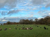 Wintergrasflächen Schleswig-Holstein - Neuberend Vorschau