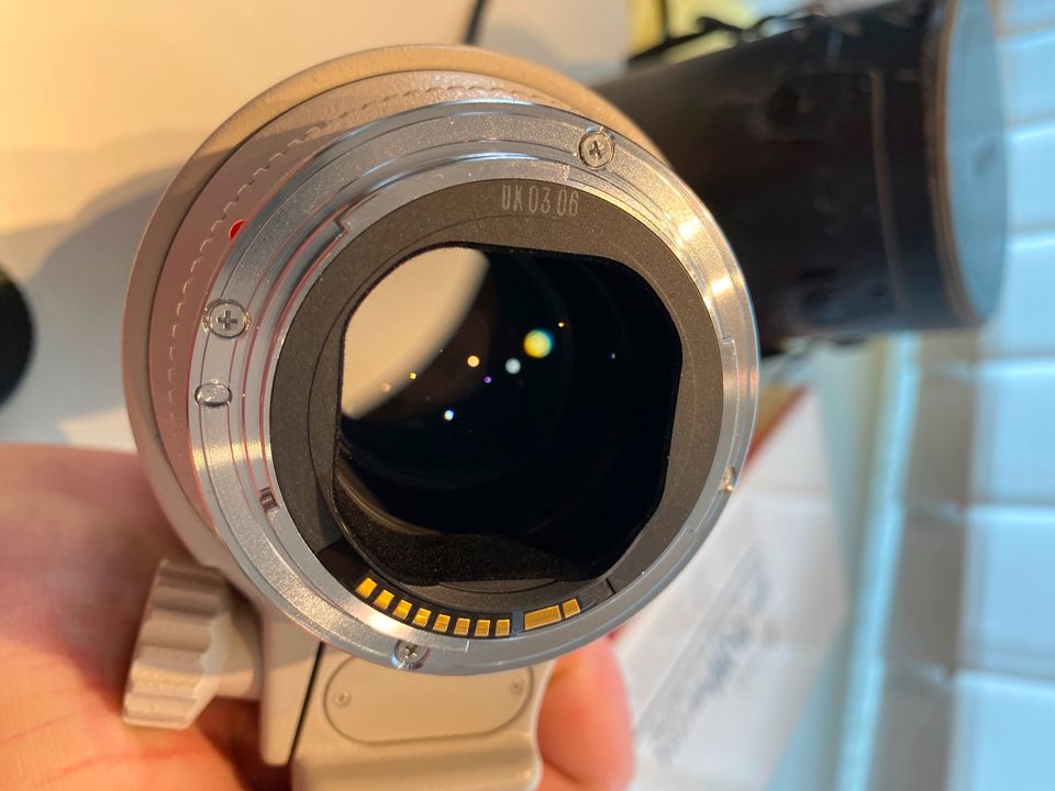 Canon EF 70-200mm f/2.8 L USM, Telephoto Zoom Objektiv lichtstark in Bad Orb
