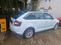 Skoda Rapid schlachtfest 1,6l diesel Rheinland-Pfalz - Emmelshausen Vorschau