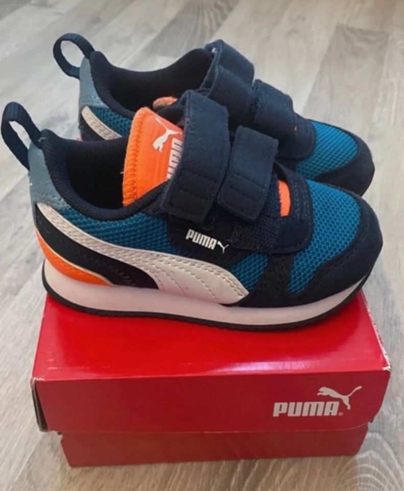 Puma Sneaker 21 in Salzbergen