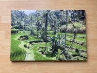 Wandbild Bali Reisplantagen grün Fotoleinwand Holzrahmen Bayern - Haßfurt Vorschau