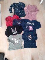 Bekleidungspaket 110 Pullover Langarmkleid Shirts Mädchen Nordrhein-Westfalen - Menden Vorschau