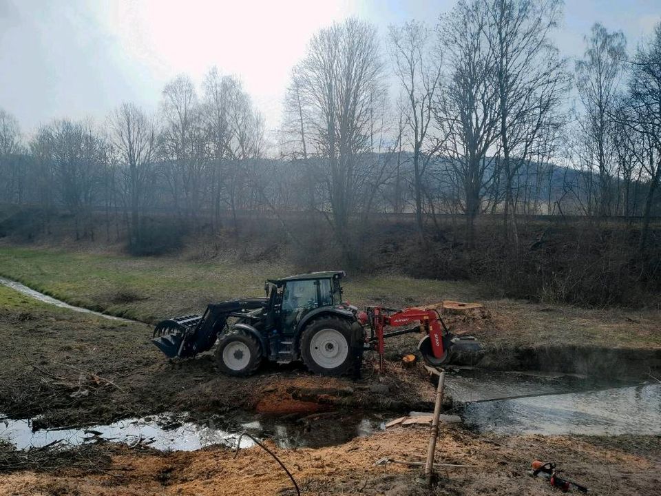 Wurzelfräsen Baumstumpfentfernung Stubbenfräsen in Steinigtwolmsdorf