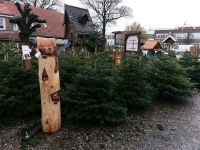 Bio Nordmanntanne Weihnachtsbaum Christbaum Tannenbaum Niedersachsen - Aurich Vorschau
