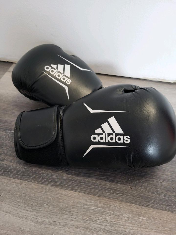 Adidas Boxhandschuhe Speed in Sarstedt