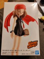 Shaman King - Kyoyama Anna Figur Leipzig - Schönefeld-Abtnaundorf Vorschau