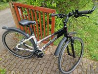 Ich verkaufe mein LAKES Damen Fahrrad Rheinland-Pfalz - Bad Kreuznach Vorschau