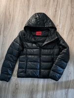 Hugo Boss Red Steppjacke Gr.L Hannover - Döhren-Wülfel Vorschau