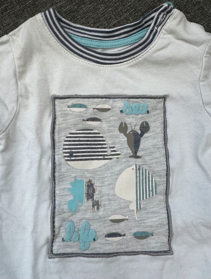 Obaibi Süßes T-Shirt Baby Junge Mädchen Gr. 56 mit Meerestieren S in Kassel