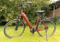 E-bike Kalkhoff Agattu in rot, 28Zoll, TOP ZUSTAND Nordfriesland - Neukirchen Vorschau