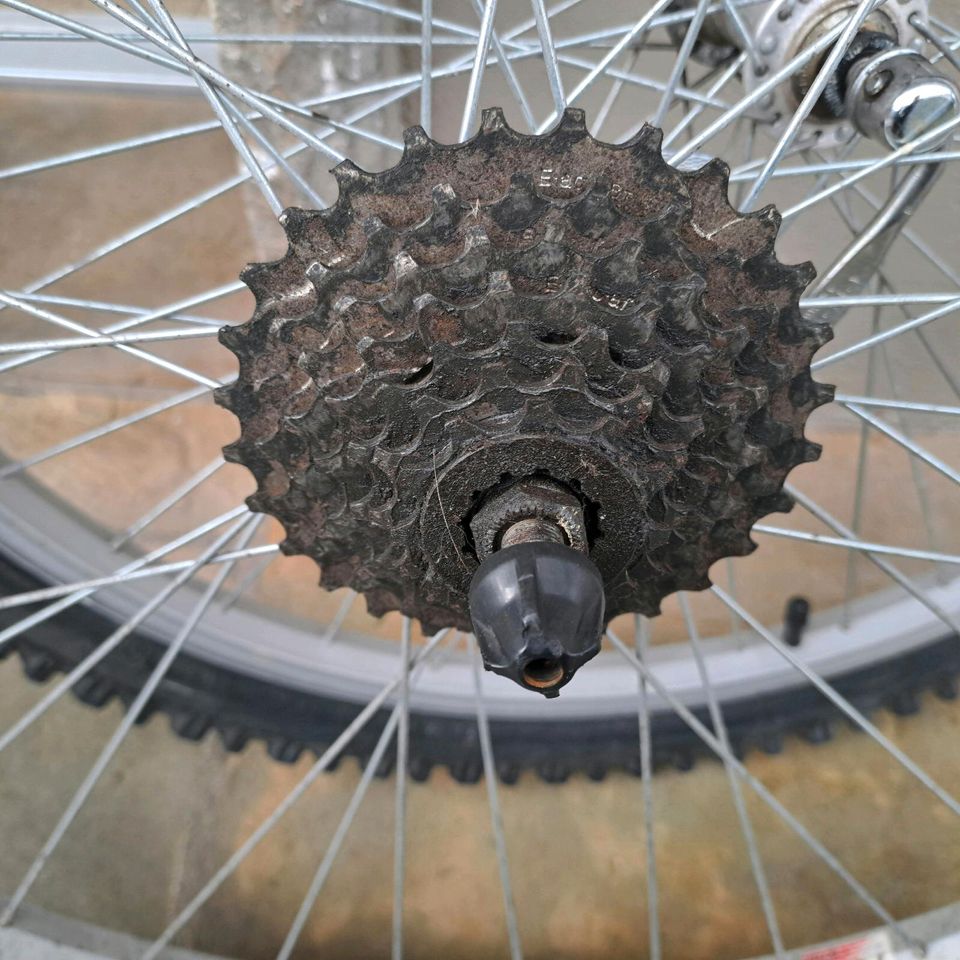 Fahrrad Reifen komplett mit Felgen in Rinteln