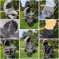 Kinderwagen / Buggy / Babykutsche Sachsen - Lichtenstein Vorschau