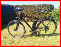 eBike bergamont Bosch Shimano NuVinci N-360 Magura 11 Gang Brandenburg - Beetzsee Vorschau