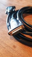 DVI / DVI Kabel (3m) in Neuer Zustand Bayern - Kolbermoor Vorschau