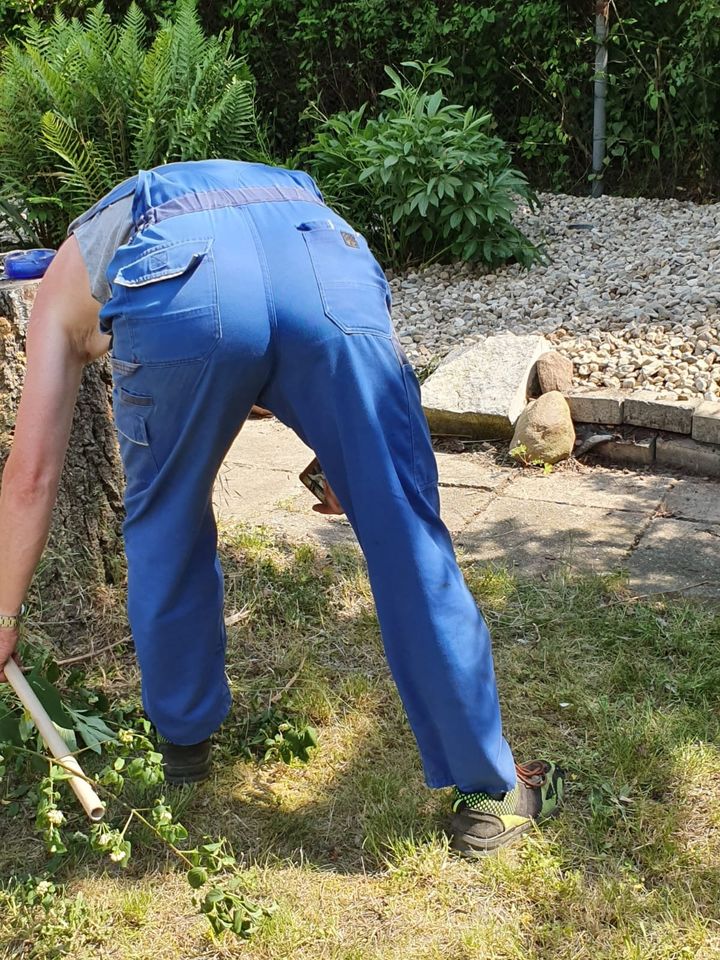 Gärtner,Gartenarbeiten,Hecke,Baumschnitt,Laub,Schuppenabriss,Zaun in