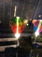 LED Solar Deko Stecker Heißluftballon Garten Stecker Balkon Münster (Westfalen) - Gievenbeck Vorschau