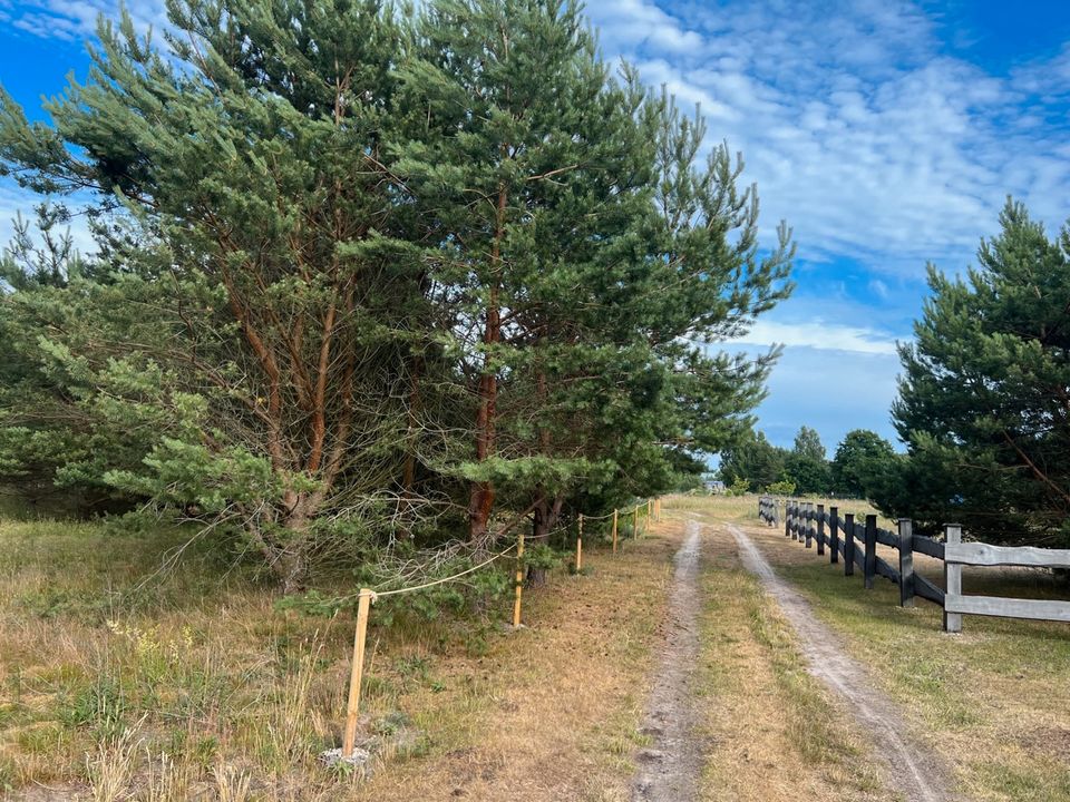 Naturnahes Grundstück auf dem Kap Mersrags in Lettland in Berlin