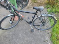 Canendale Fahrrad schwarz Baden-Württemberg - Karlsruhe Vorschau