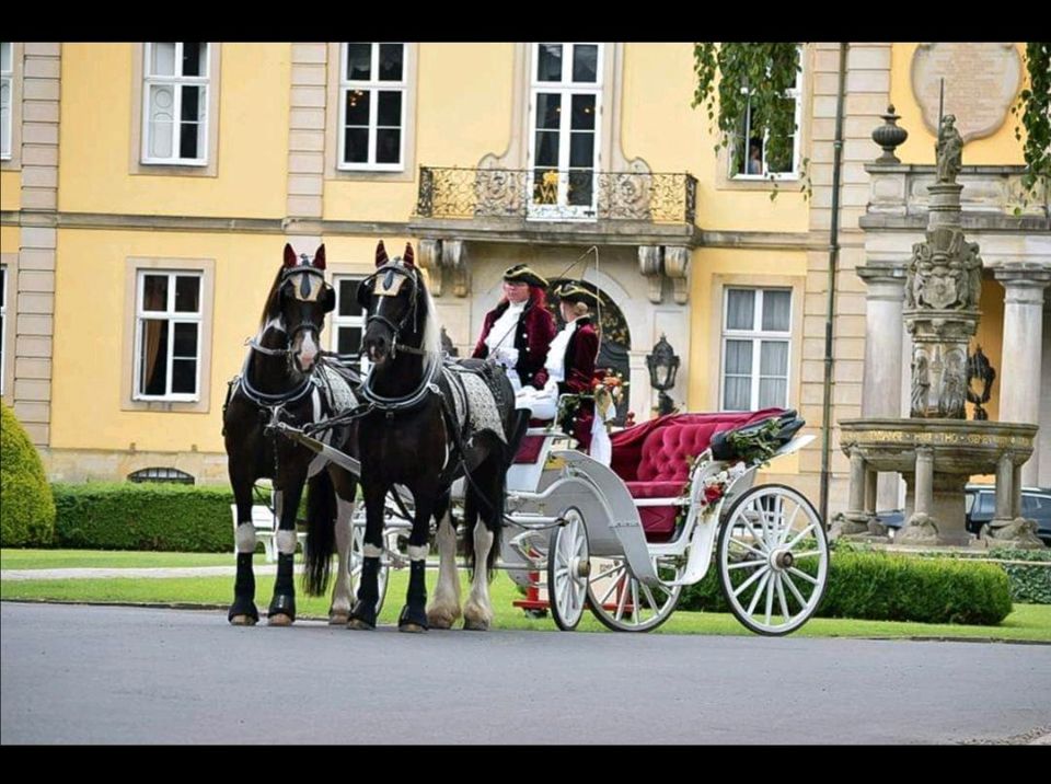 Hochzeitskutsche Hochzeitsfahrt in Nienstädt