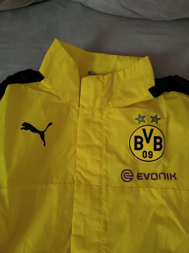 BVB Borussia Dortmund Regenjacke Gr M Puma sehr guter Zustand in Heuchelheim