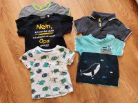 5 x T-Shirts / Poloshirt Gr 86 Dresden - Dresden-Plauen Vorschau