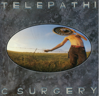The Flaming Lips – Telepathic Surgery (Vinyl, LP, Album) Niedersachsen - Buxtehude Vorschau