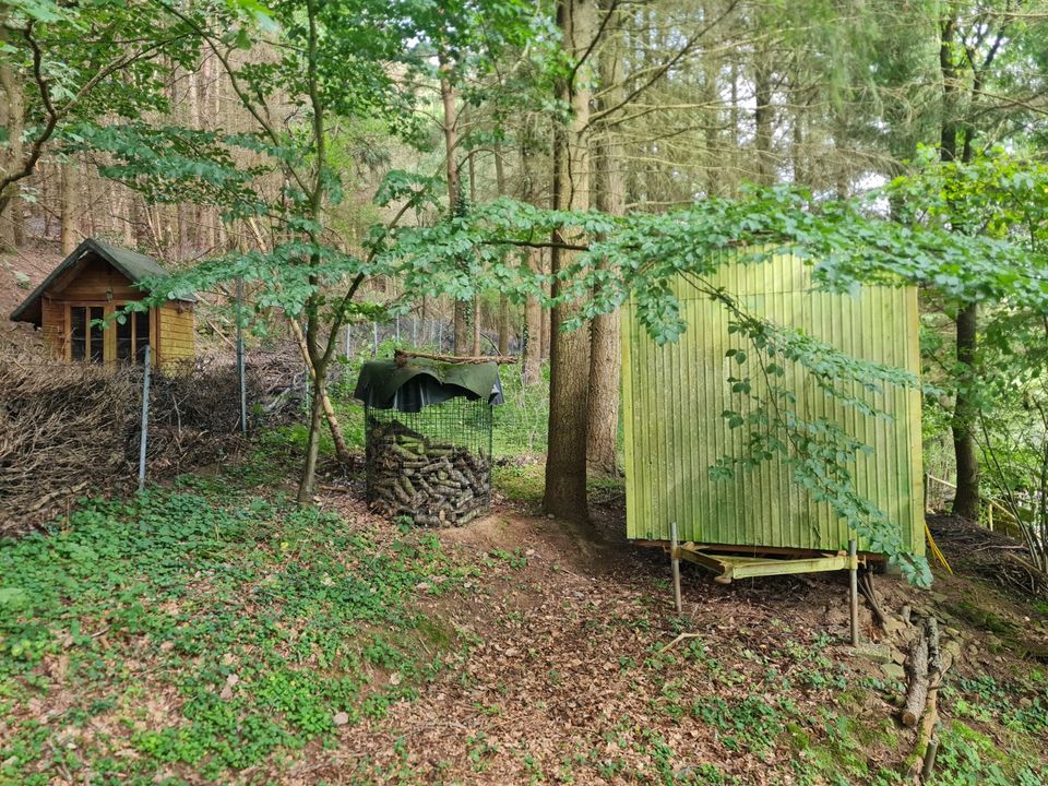 #6 Großer Garten mit Hütte Bauwagen Tinyhouse Camping Grillen Freizeitgrundstück in Kusel