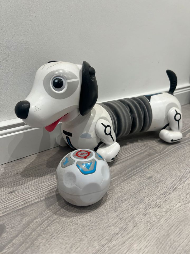 Robo Hund Roboter Dog Ycoo in Nordrhein-Westfalen - Bedburg | Weitere  Spielzeug günstig kaufen, gebraucht oder neu | eBay Kleinanzeigen ist jetzt  Kleinanzeigen