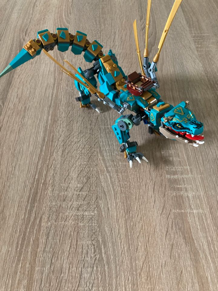 Lego Ninjago Set in Wadgassen