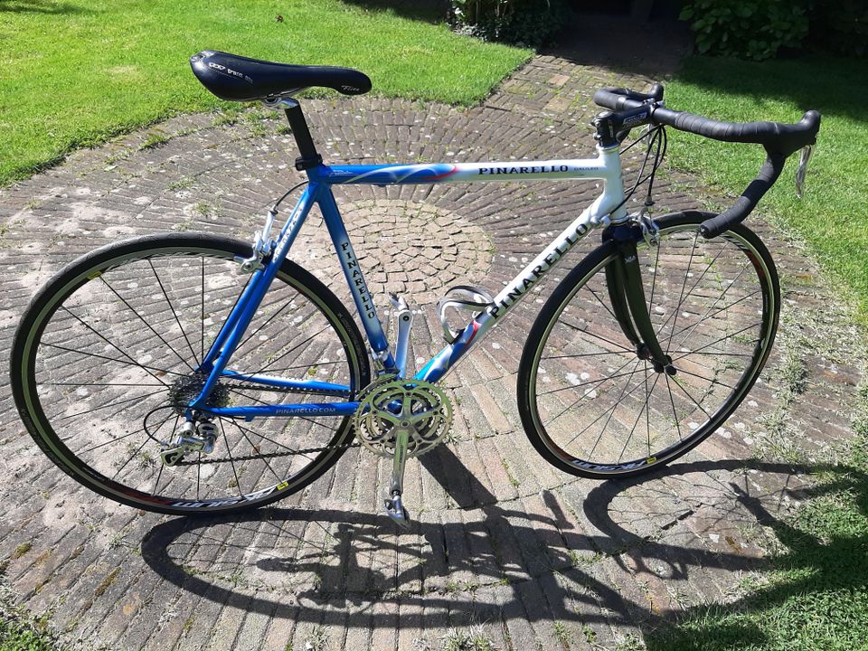 Rennrad Pinarello in Lingen (Ems)