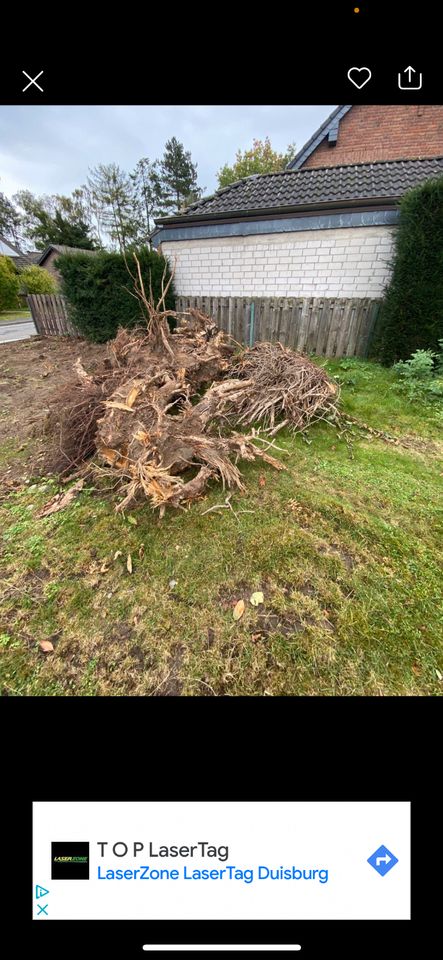 Ich entsorge Gartenabfälle Unkraut Grünschnitt Holz Holzabfälle in Mönchengladbach