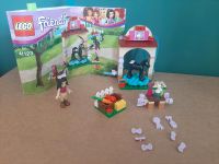 LEGO FRIENDS 41123 Düsseldorf - Mörsenbroich Vorschau