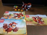 Lego Creator 3 in 1 31044 Eule Hund Eichhörnchen Tiere Leipzig - Meusdorf Vorschau