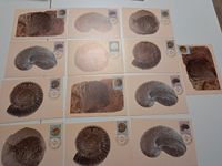 13 Maximumkarten Luxemburg 1, Postcrossing. Thema Fossilien Saarland - Perl Vorschau