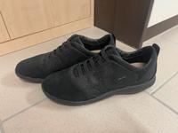 Geox Sneaker Turnschuhe 40 Bayern - Ingolstadt Vorschau