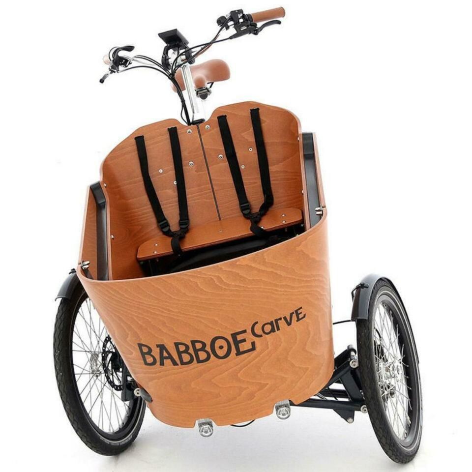 "BABBOE CARVE MOUNTAIN...........E-Lastenrad" in Schwäbisch Gmünd