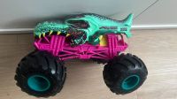 Hot Wheels Monster Trucks Rheinland-Pfalz - Wörth am Rhein Vorschau