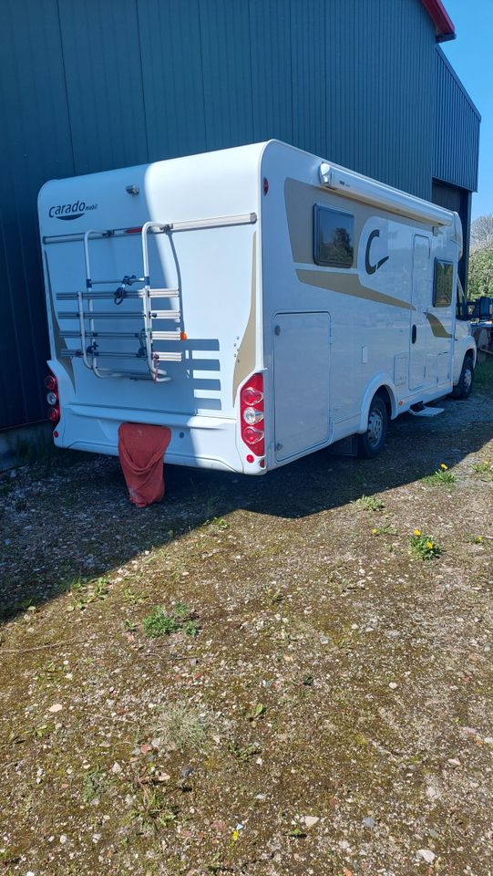 Fiat Carado T 448 Tüv neu in Haseldorf