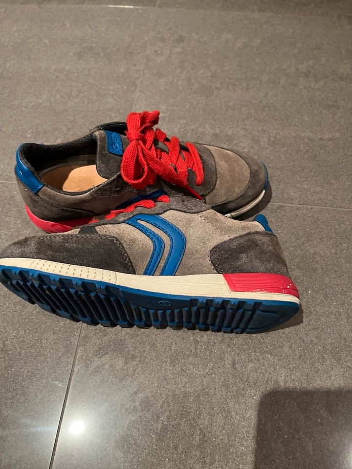 Geox Sneakers Kinder 33 in Vinningen