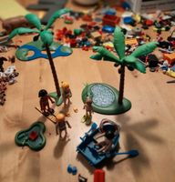 Playmobil  Palme Boot Meer Flossen Hannover - Döhren-Wülfel Vorschau